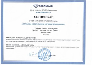  сертификат 2