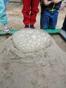 IMG-20210827-WA0017