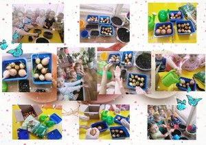IMG-20220307-WA0020