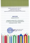  11 Солнышко Золотая маска 